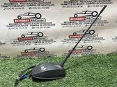 Radion antenni