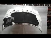 Motorhaube