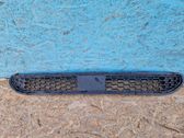 Grille de calandre avant