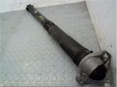 Stoßdämpfer hinten