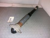 Stoßdämpfer hinten