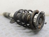 Front shock absorber/damper