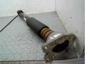 Stoßdämpfer hinten