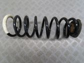 Rear coil spring