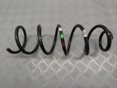 Rear coil spring