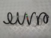 Rear coil spring