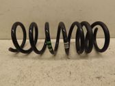 Rear coil spring