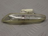 Front fender indicator light