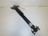 Rear shock absorber/damper