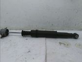 Stoßdämpfer hinten