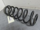 Rear coil spring