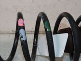 Rear coil spring