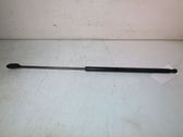 Tailgate/trunk strut/damper