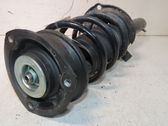 Front shock absorber/damper