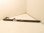 Tailgate/trunk strut/damper