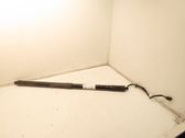 Tailgate/trunk strut/damper