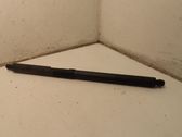 Tailgate/trunk strut/damper