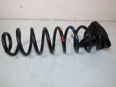 Rear coil spring