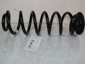 Rear coil spring