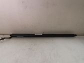 Tailgate/trunk strut/damper