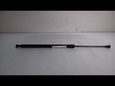 Tailgate/trunk strut/damper