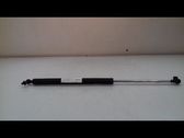 Tailgate/trunk strut/damper