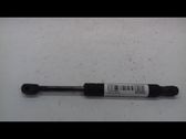 Tailgate/trunk strut/damper