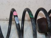 Rear coil spring