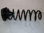Rear coil spring