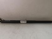 Tailgate/trunk strut/damper