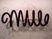 Rear coil spring