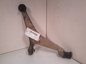Front lower control arm/wishbone