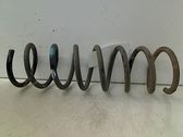 Feder hinten