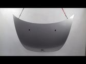 Motorhaube
