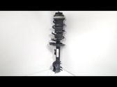 Front shock absorber/damper