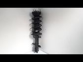 Front shock absorber/damper
