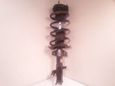 Front shock absorber/damper