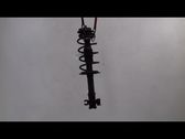 Front shock absorber/damper