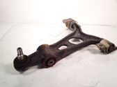 Front lower control arm/wishbone