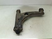 Front lower control arm/wishbone