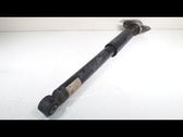 Stoßdämpfer hinten