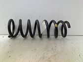 Rear coil spring