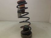 Rear coil spring