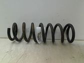 Rear coil spring