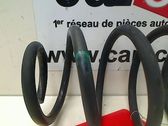 Rear coil spring