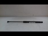 Tailgate/trunk strut/damper