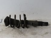 Front shock absorber/damper