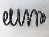 Feder hinten