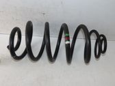 Feder hinten