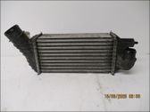 Intercooler radiator